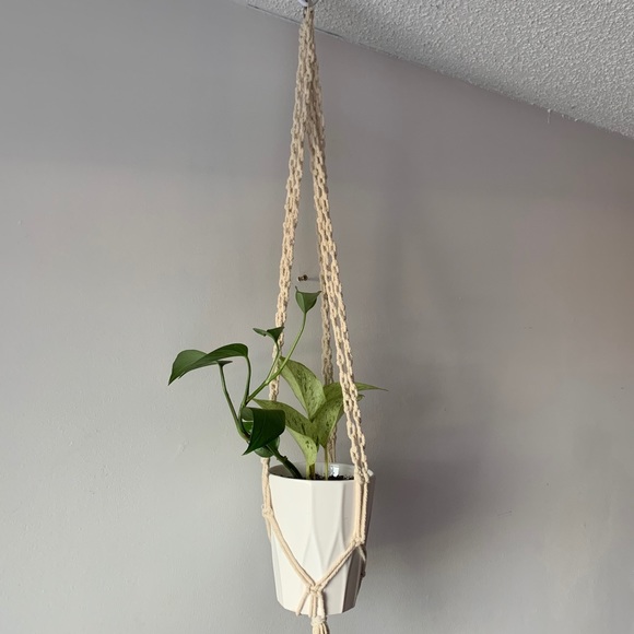 Macrame Plant Hangers - Picture 8 of 9